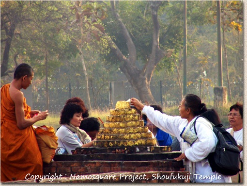 サヘート遺跡（祇園精舎）で仏陀に見立てた仏塔に金箔を貼る巡拝者たち